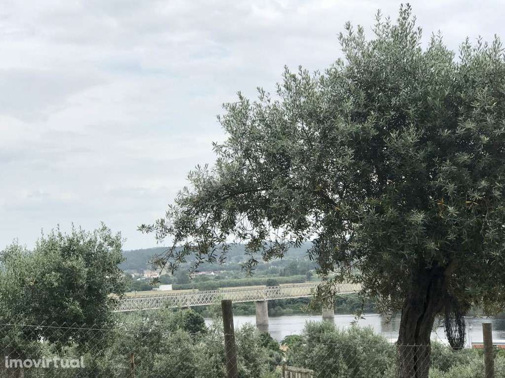 Terreno para construção urbana - Grande imagem: 3/11