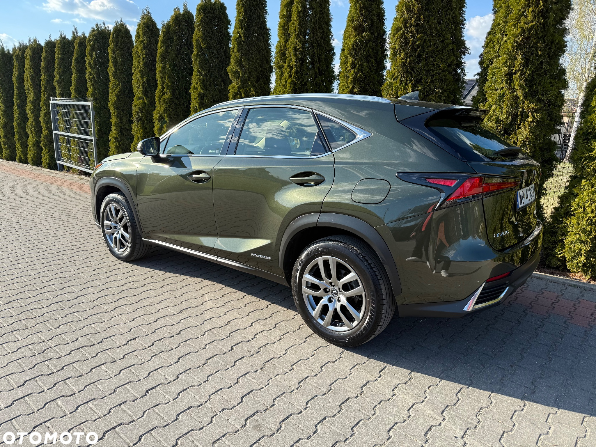 Lexus NX - 26
