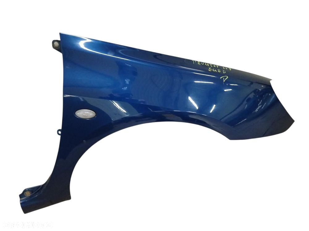 BLOTNIK PRAWY PRZEDNI EQGD PEUGEOT 307 - 1