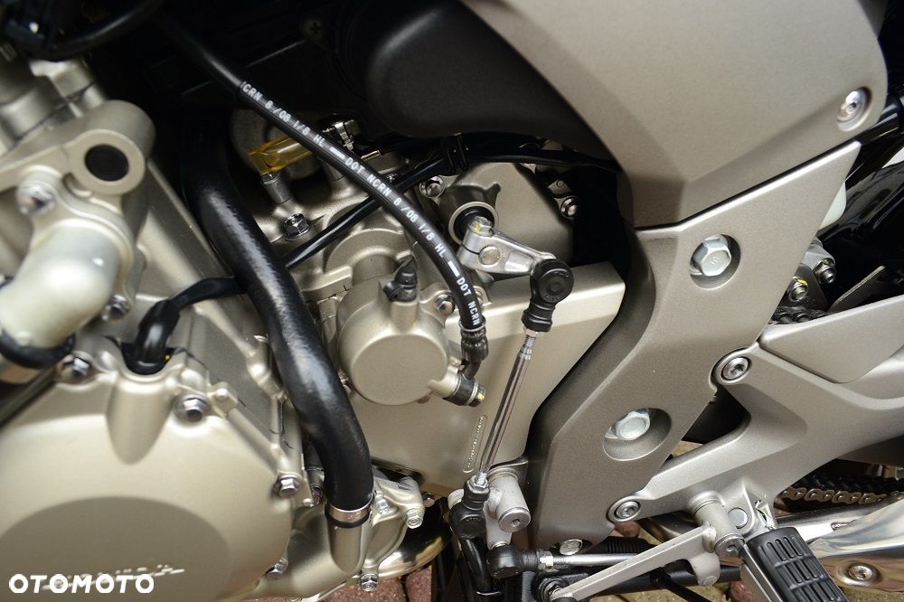 Honda CBF - 19