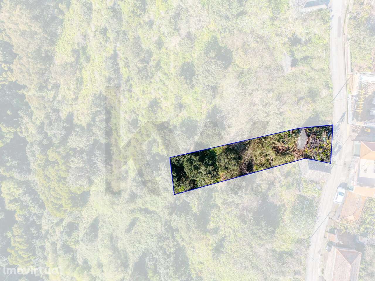 Terreno com Palheiro | Caminho do Lombo do Doutor – Calheta - Grande imagem: 3/21