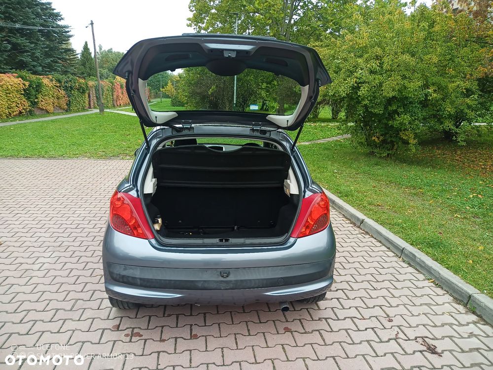 Peugeot 207 - 5