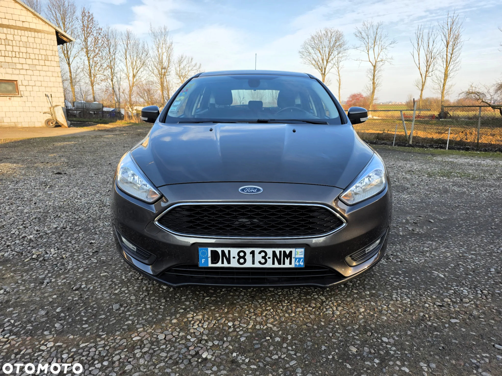 Ford Focus 1.6 TDCi DPF Titanium - 9