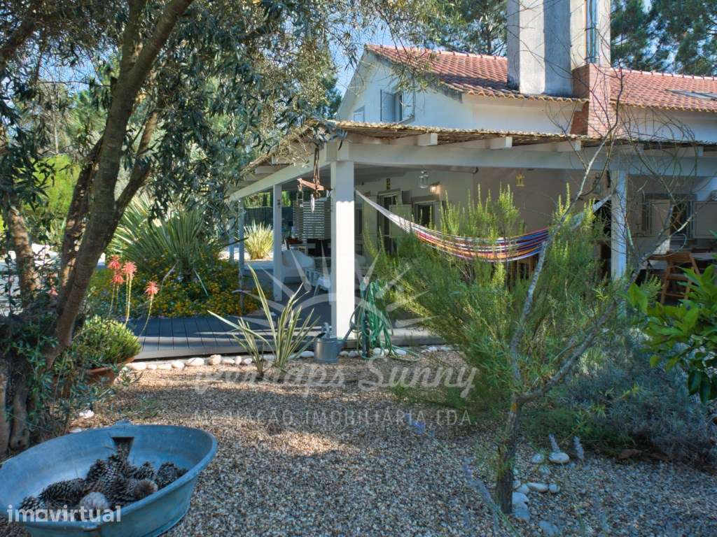 Quinta - Muda - Grande imagem: 3/60