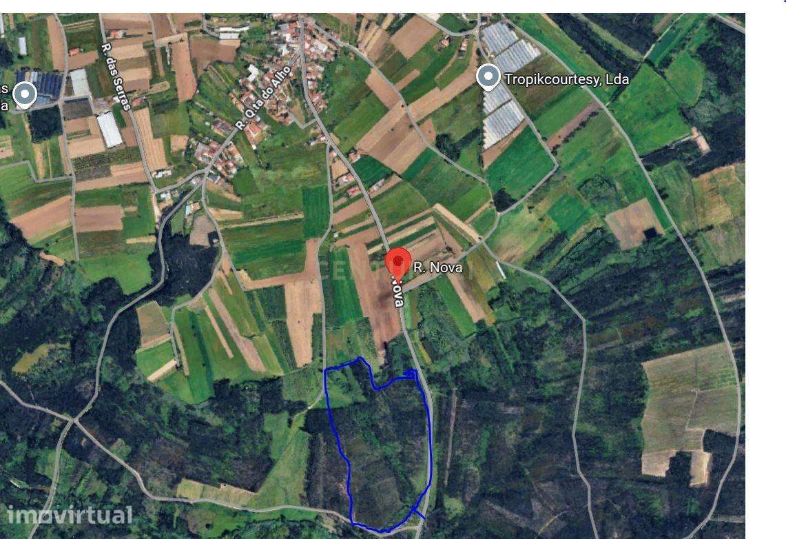 Terreno Agro-Florestal com 30.855 m² – Quinta da Ponte, Ouca (Vagos) - Grande imagem: 3/3
