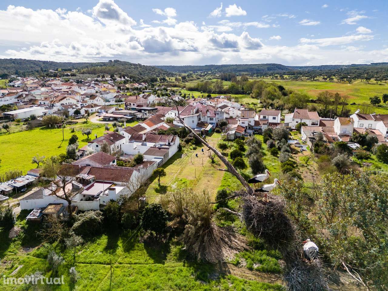 MORADIA T1 + ANEXOS E TERRENO | BEMPOSTA | ABRANTES - Grande imagem: 4/48