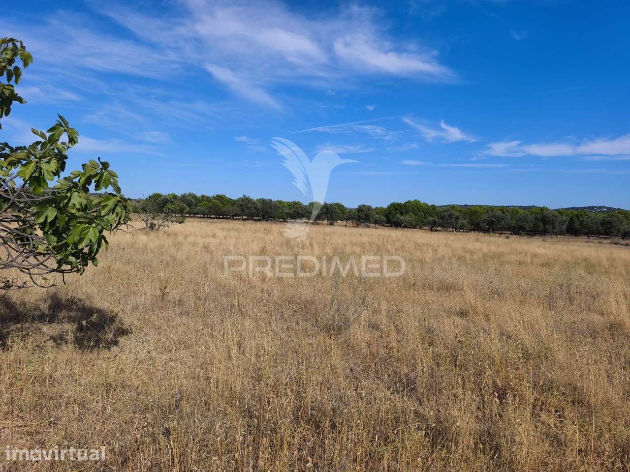 Albufeira-Paderne Montes Elois -Terreno Rustico plano 24360m2 - Grande imagem: 2/12