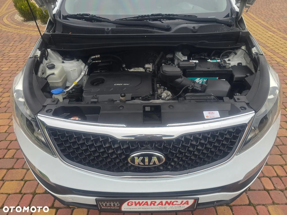 Kia Sportage - 30
