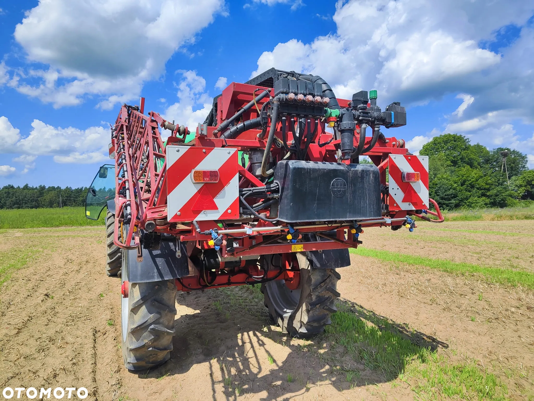 Krukowiak Goliat - 10