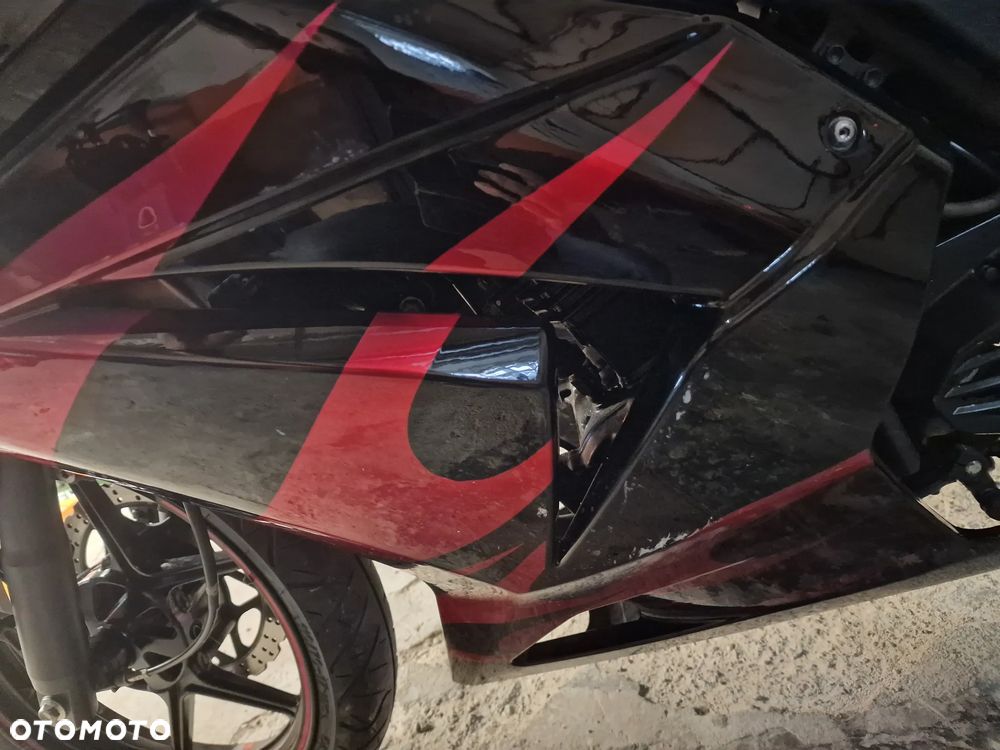 Kawasaki Ninja 250R - 11