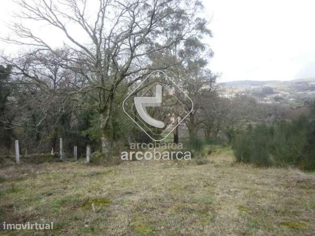 Miranda, Arcos de Valdevez . terreno rustico aprox. 5.000m2 - Grande imagem: 2/7