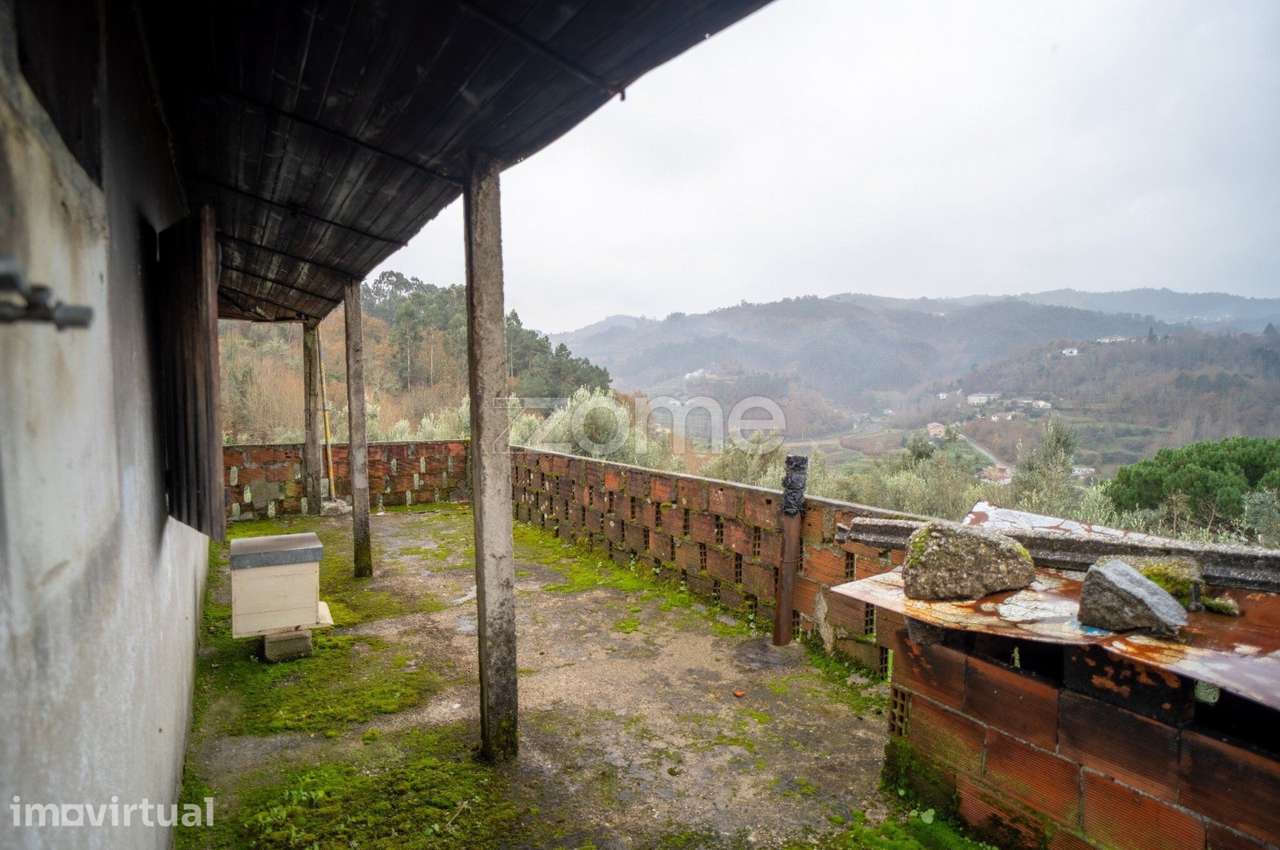 Quinta com vinha e árvores de fruto | Projeto ideal para turismo ru... - Grande imagem: 4/32