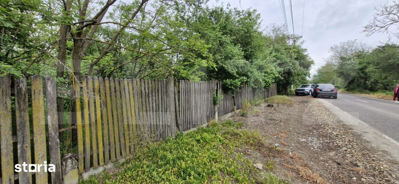 Domeniu polivalent, ideal pentru 2 familii / afacere, 300 mp, zona Sud - Imagine principală: 3/10