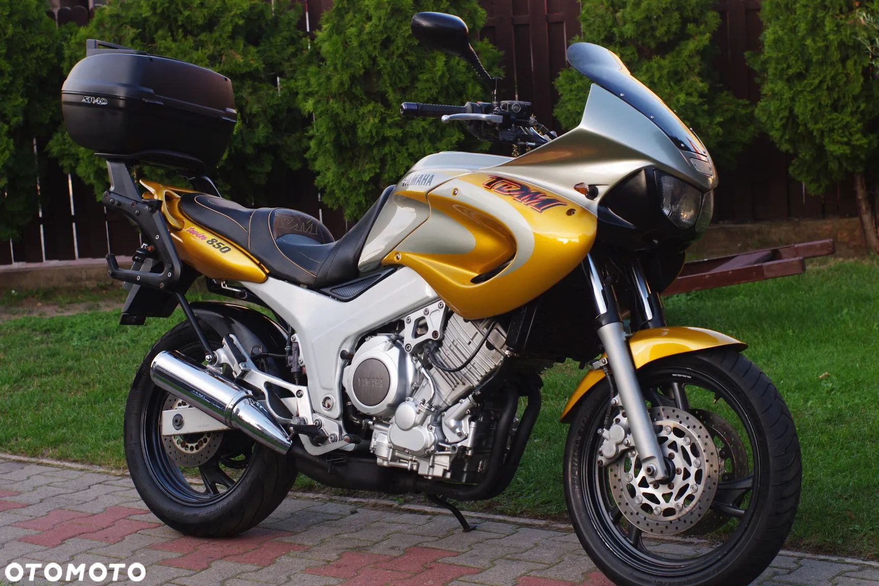 Yamaha TDM - 1
