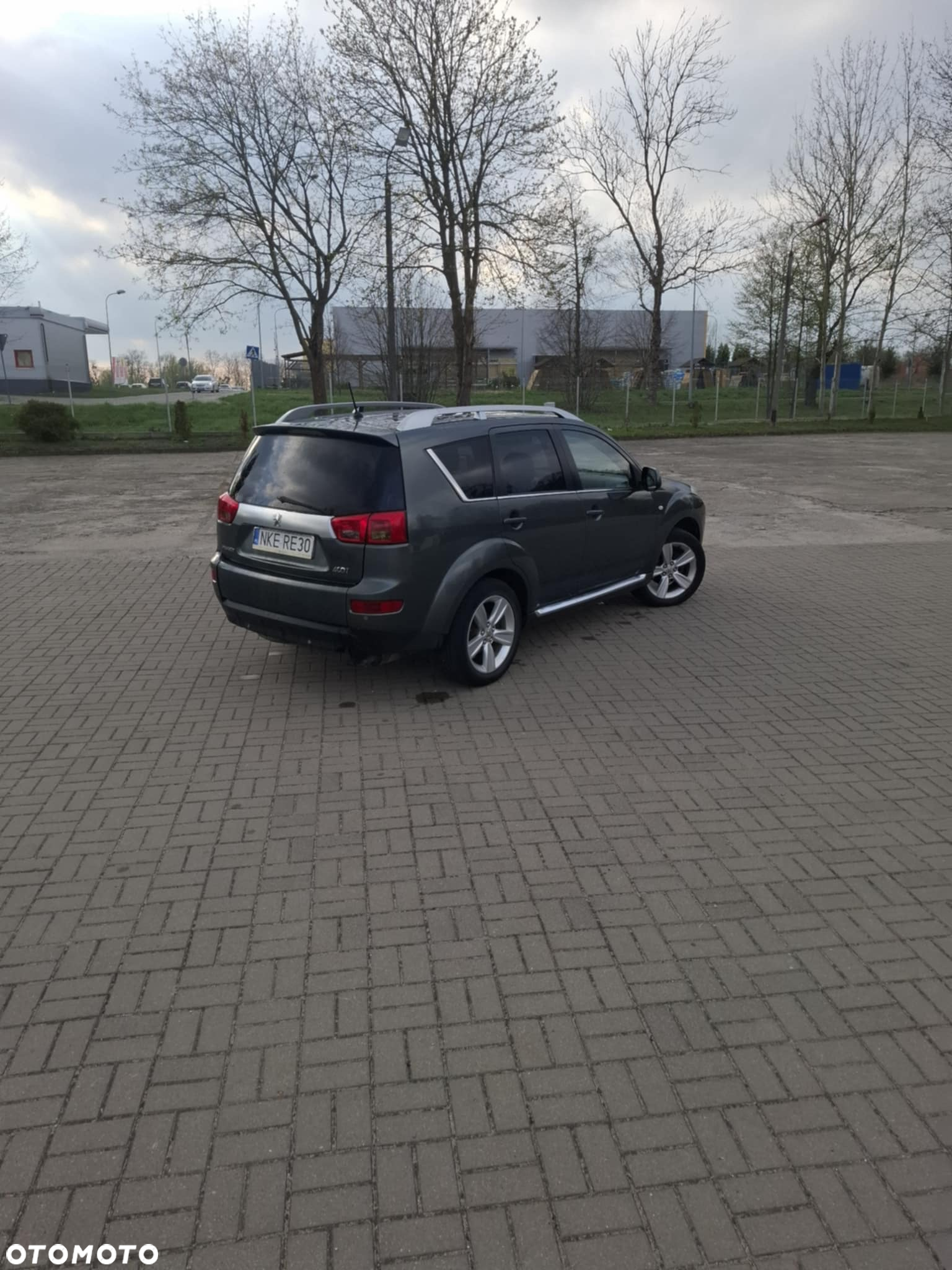 Peugeot 4007 2.2HDi Platinum - 8