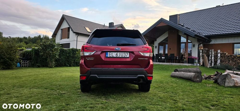Subaru Forester - 7