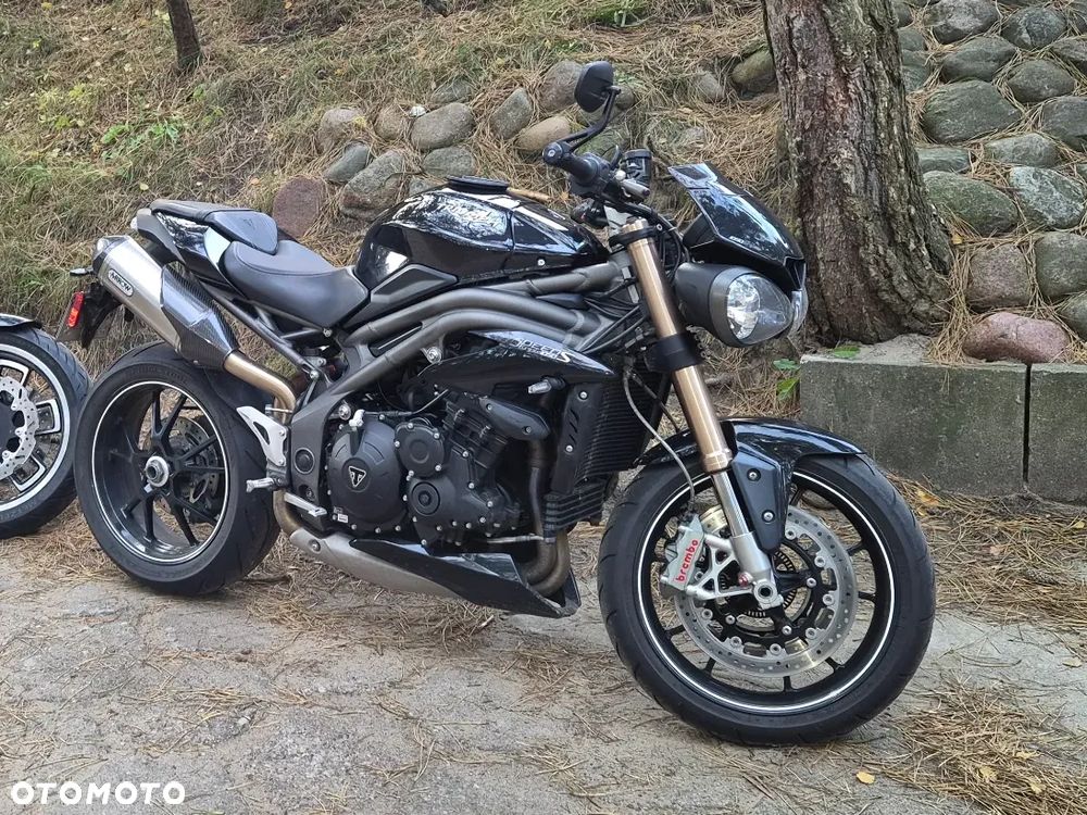 Triumph Speed Triple - 11
