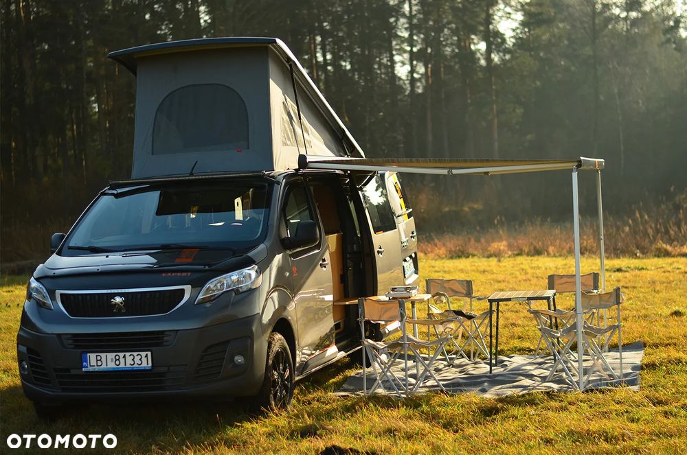 Peugeot Dangel Expert 4x4 - 10