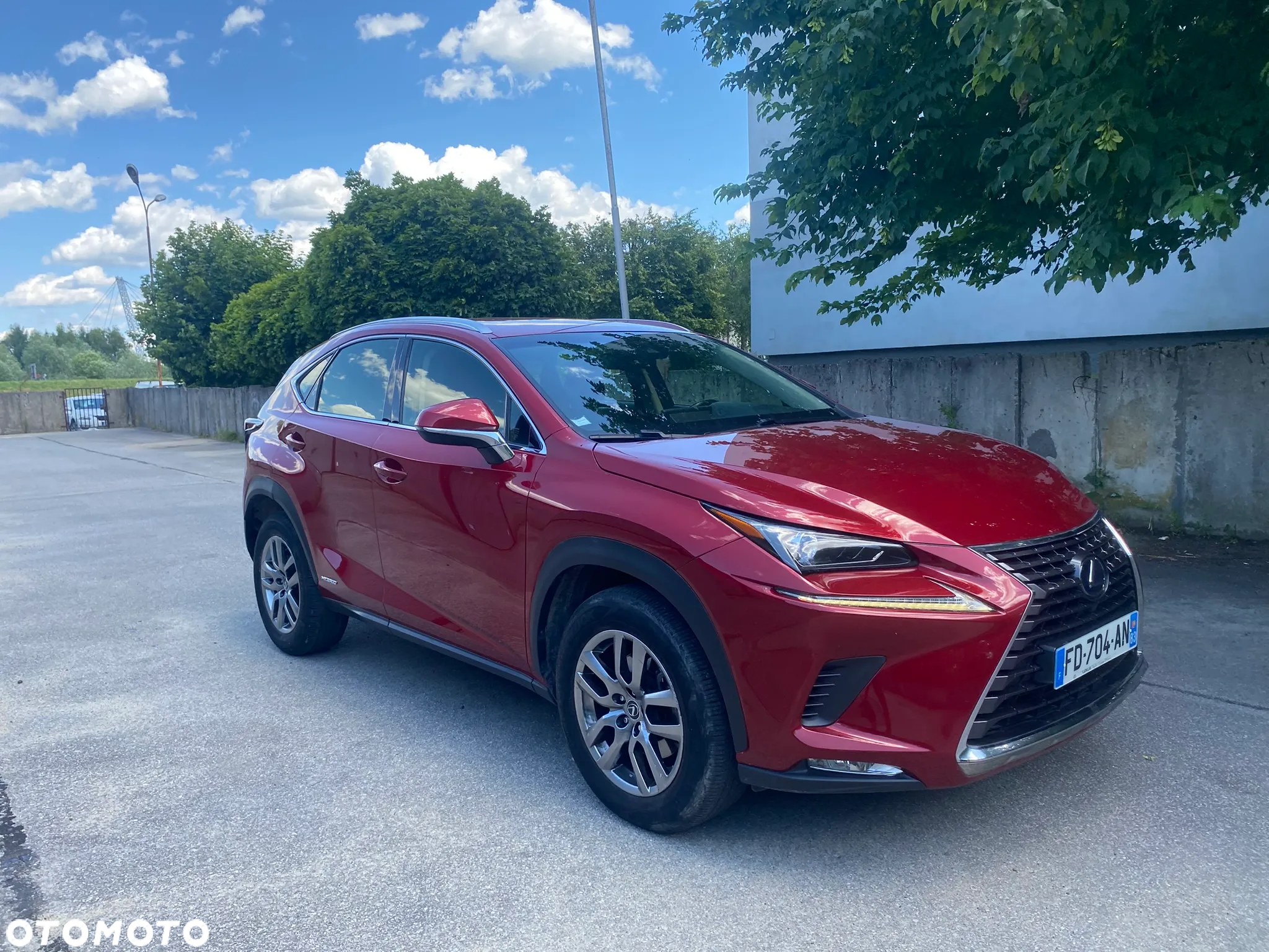 Lexus NX 300h Elegance AWD - 18
