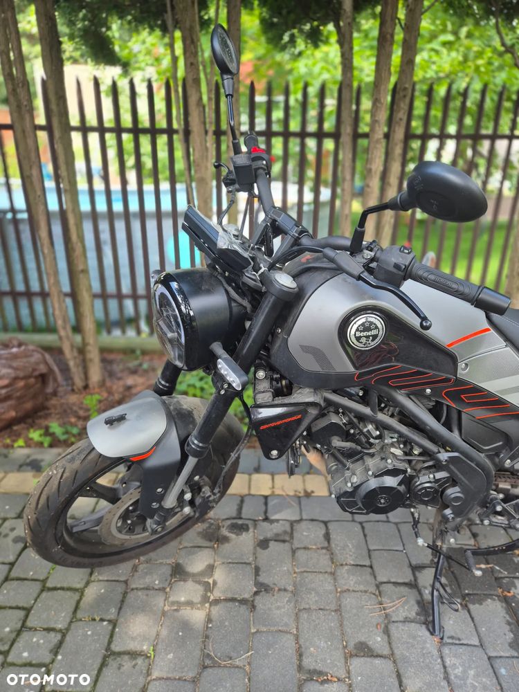 Benelli Leoncino - 2