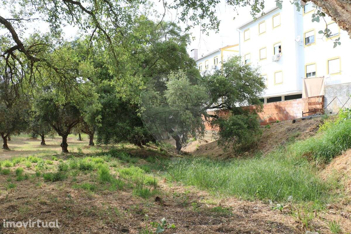 Terreno  para venda - Grande imagem: 2/48