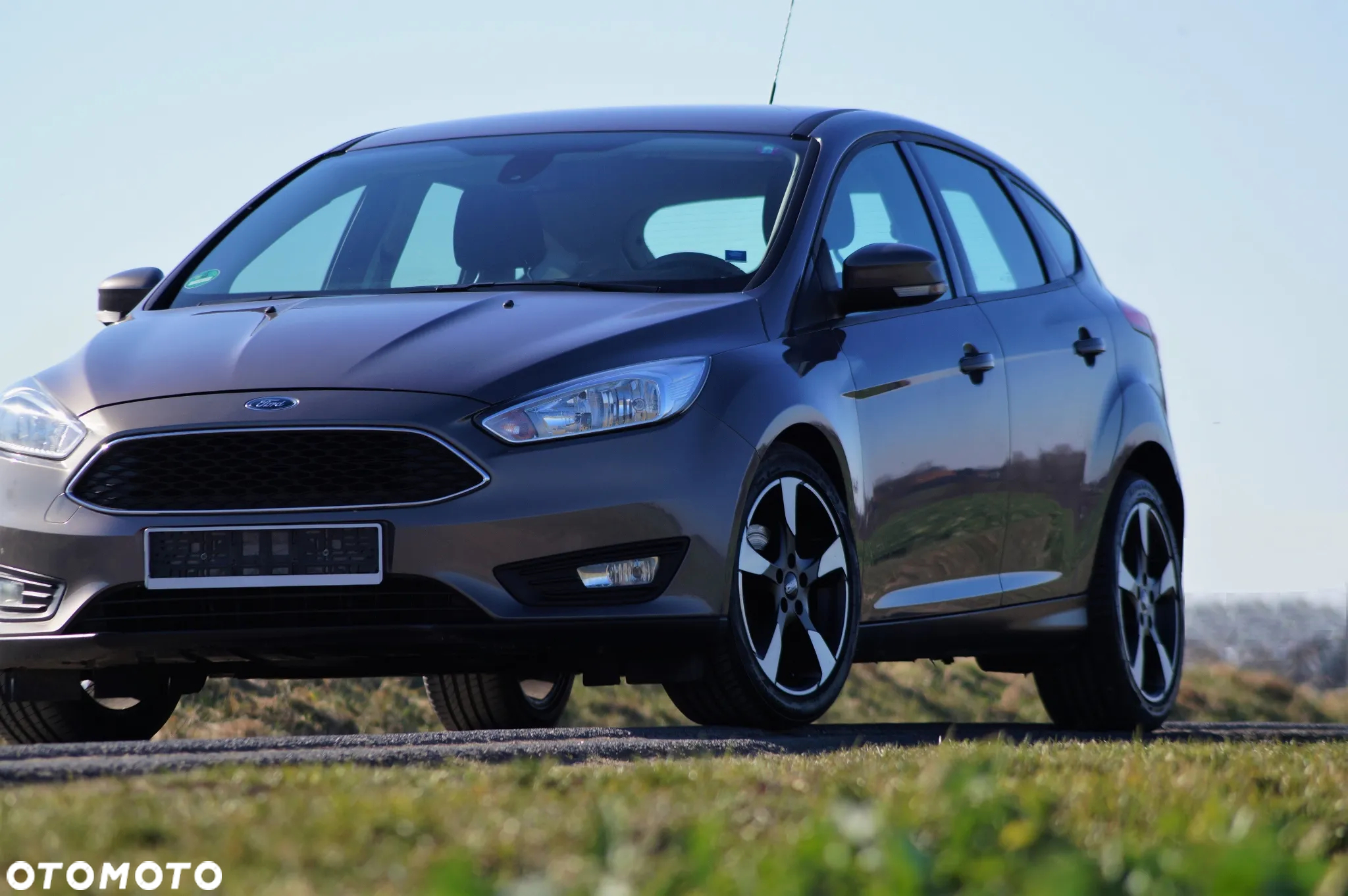 Ford Focus - 20