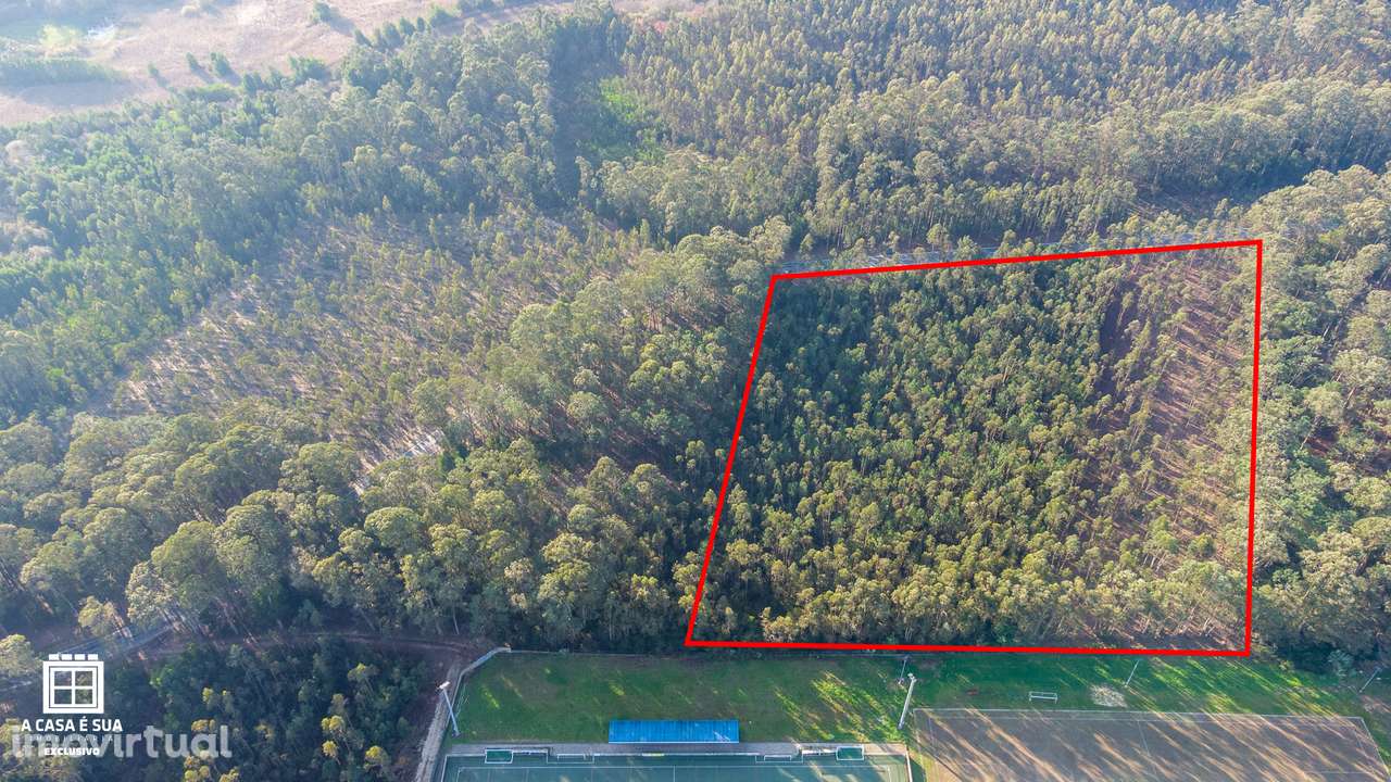 Terreno rústico com 17.800 m² em Avanca - Exclusivo - Grande imagem: 3/14