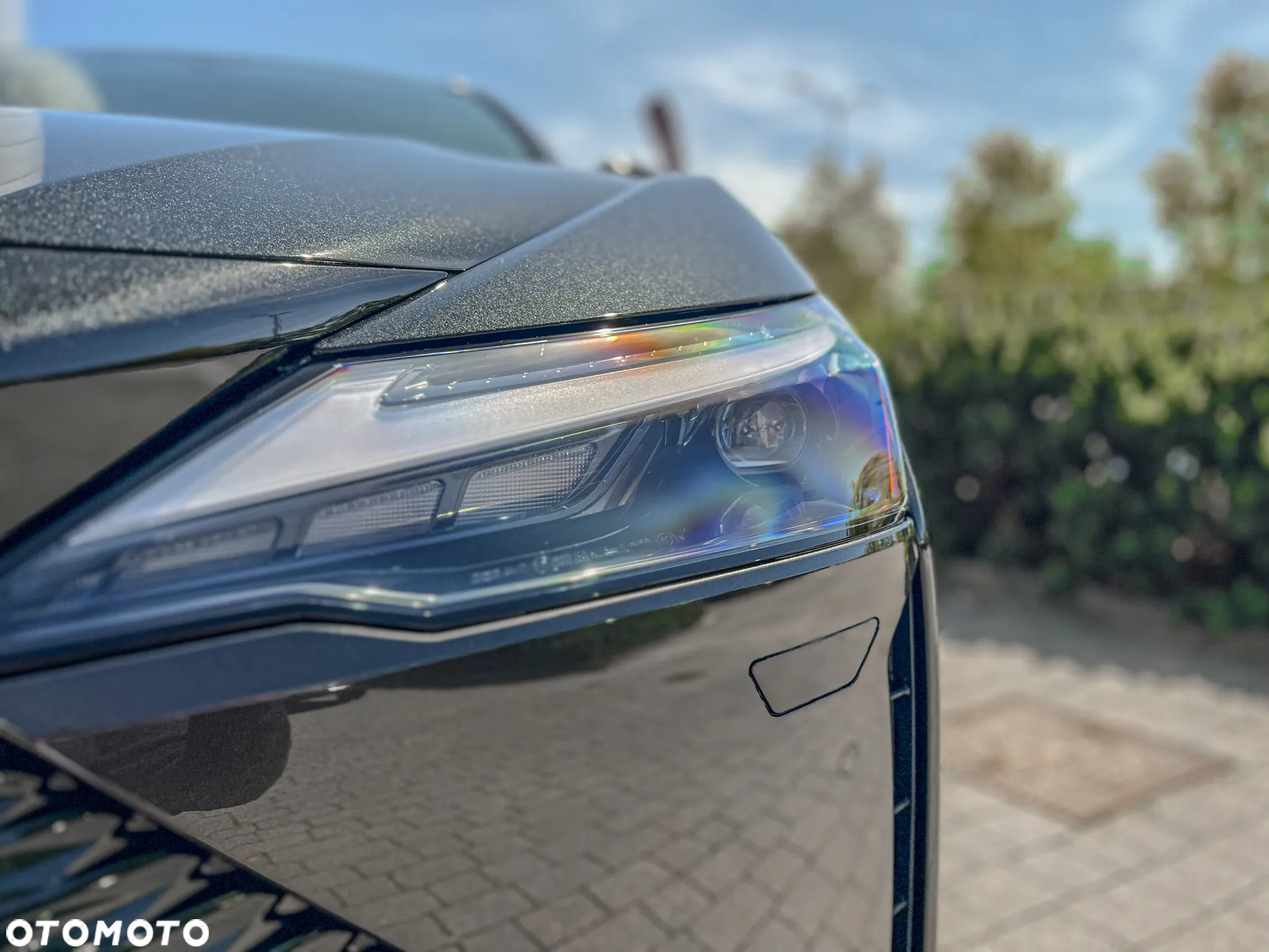 Lexus RZ 300e Prestige - 8