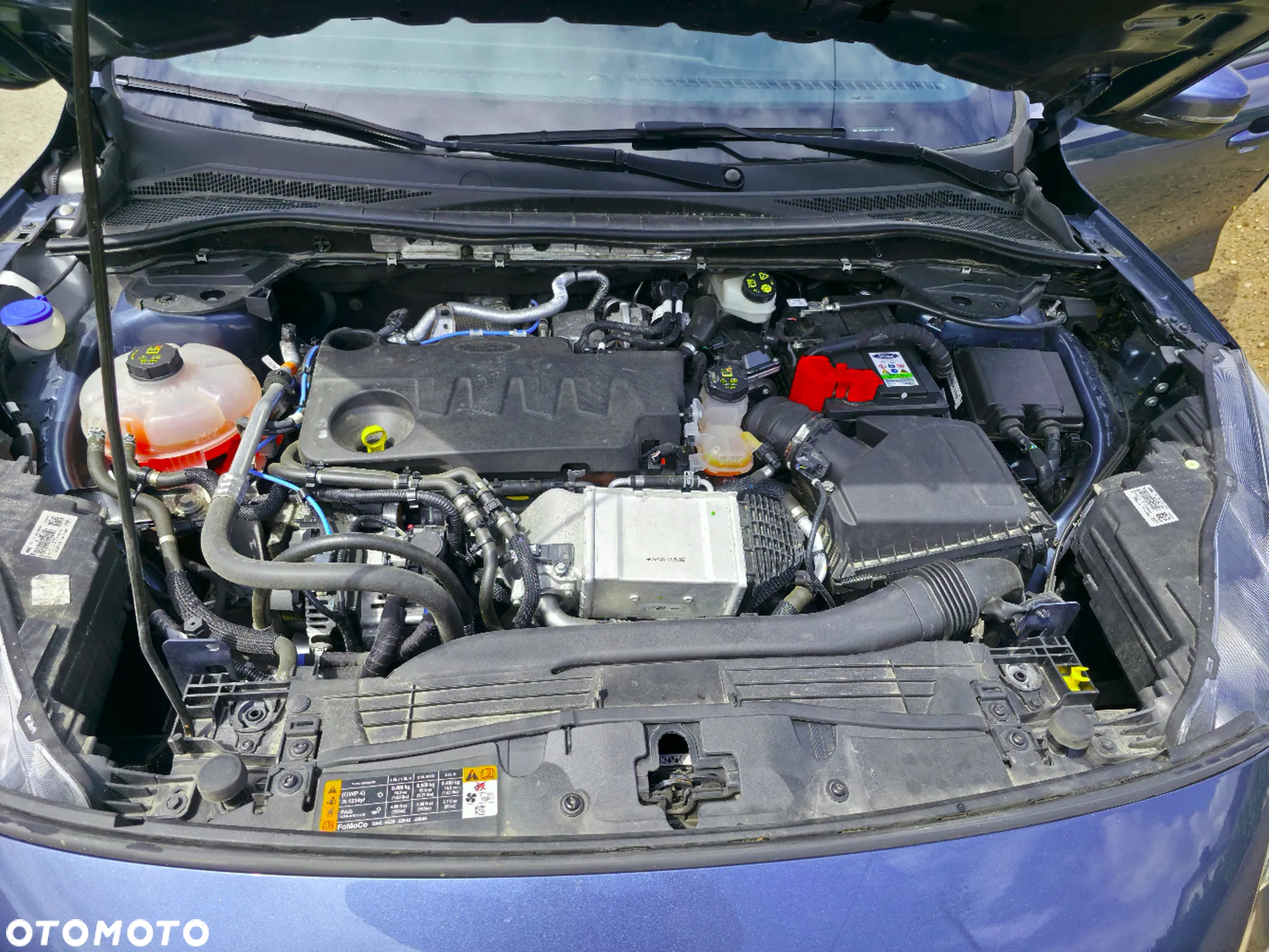 Ford Kuga 2.0 EcoBlue Hybrid ST-LINE - 24