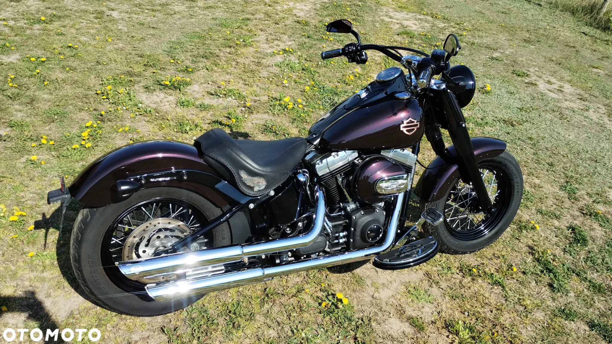 Harley-Davidson Softail Slim - 9