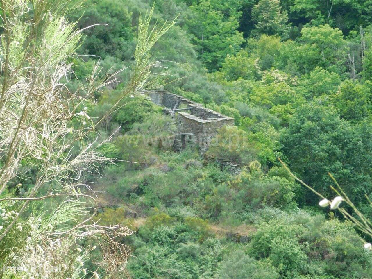 Terreno / Seia, Sazes da Beira - Grande imagem: 4/19