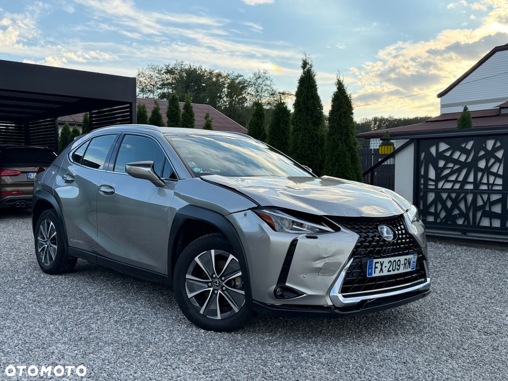 Lexus UX 300e Luxury Line - 2