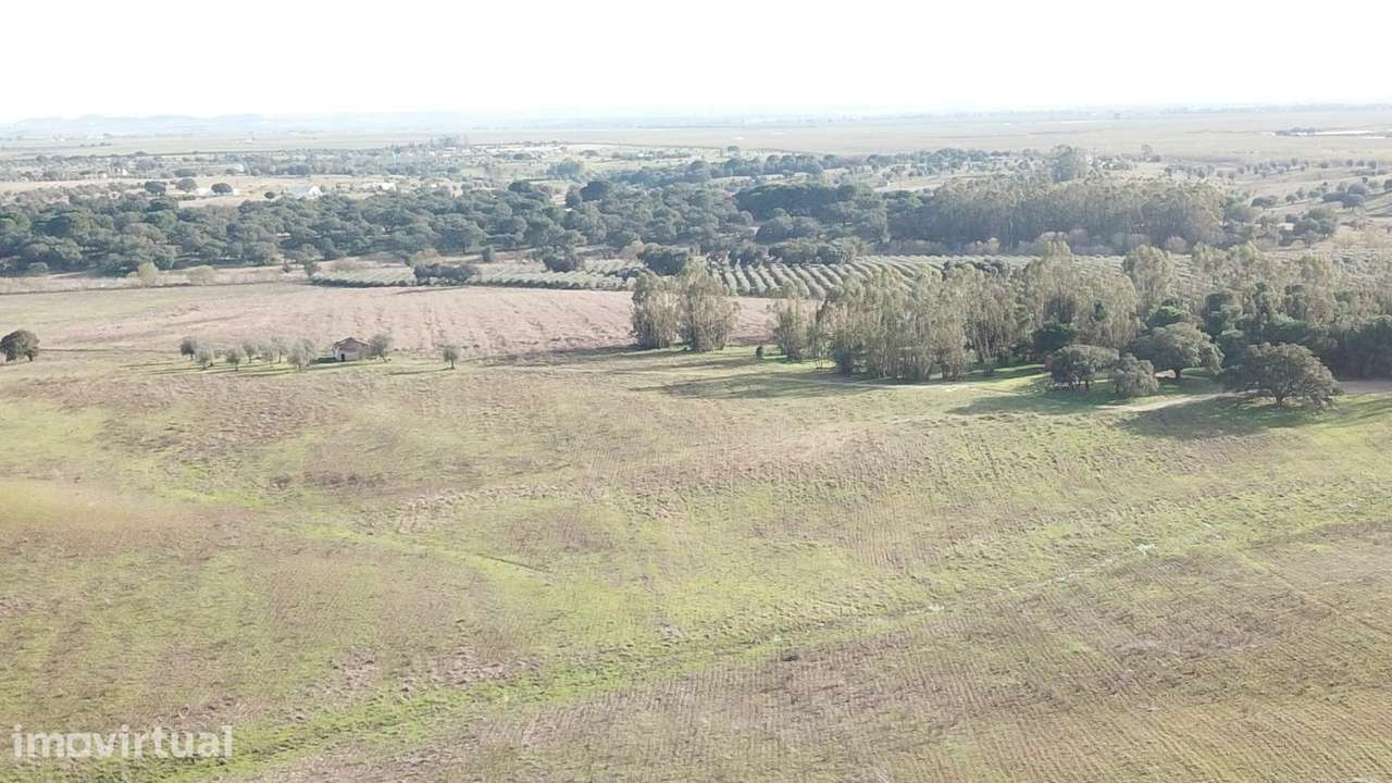 31 HECTARES DE TERRENO AGRÍCOLA, PAINEIS SOLARES ou TURISMO RURAL - Grande imagem: 2/5