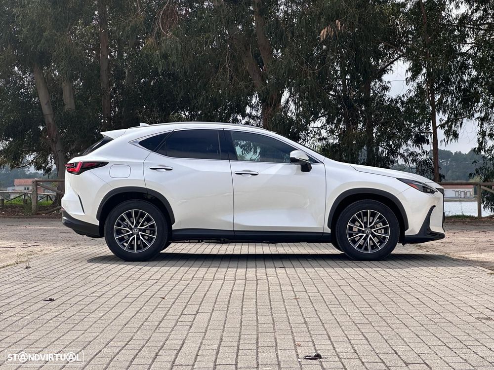 Lexus NX 450h+ Executive - 11