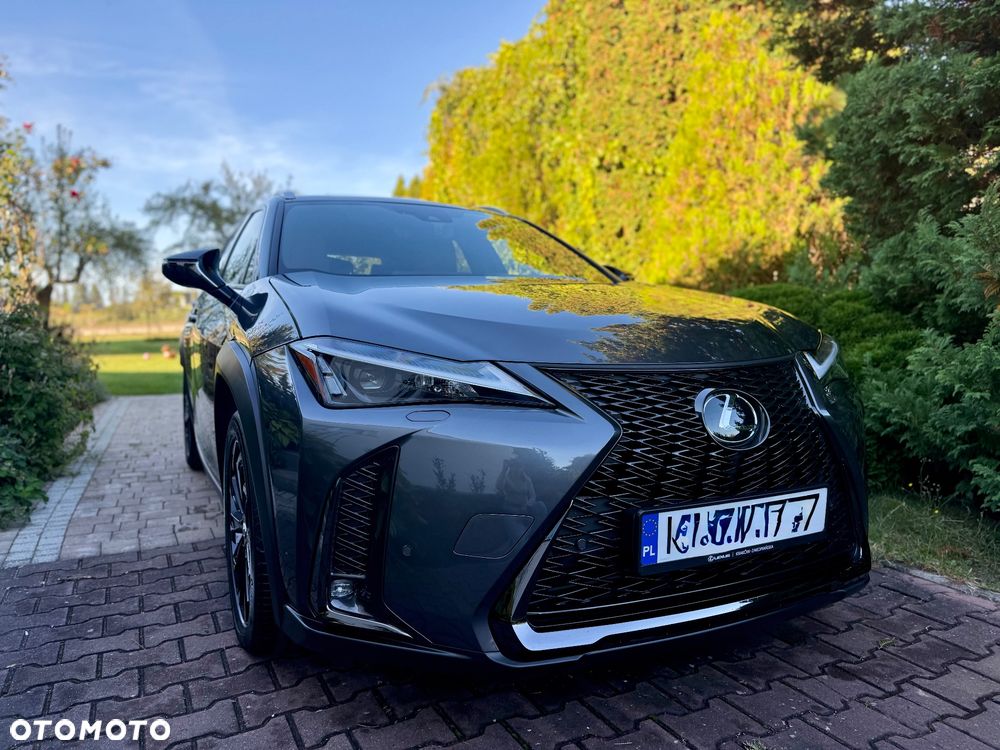 Lexus UX 250h GPF F Sport Design+ 2WD - 1