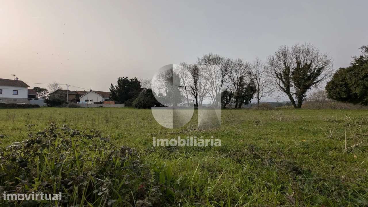 Terreno amplo em Ázere, Tábua - Grande imagem: 3/6