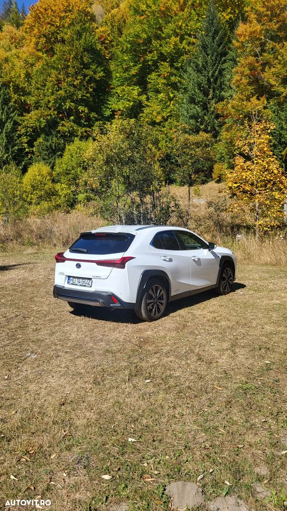Lexus UX 250h 2.0L HEV 20H- (178 HP) 4X4 CVT F Sport - 7