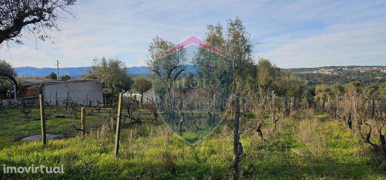 Terreno Para Construção  Venda em Silgueiros,Viseu - Grande imagem: 5/13