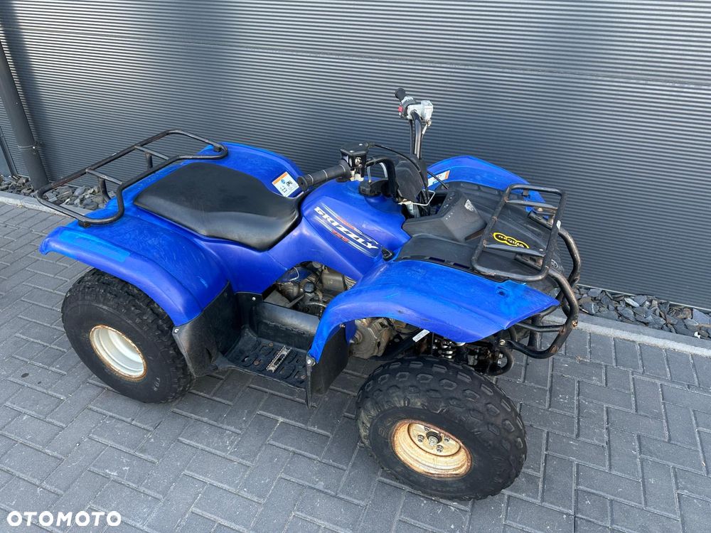 Yamaha Grizzly - 6