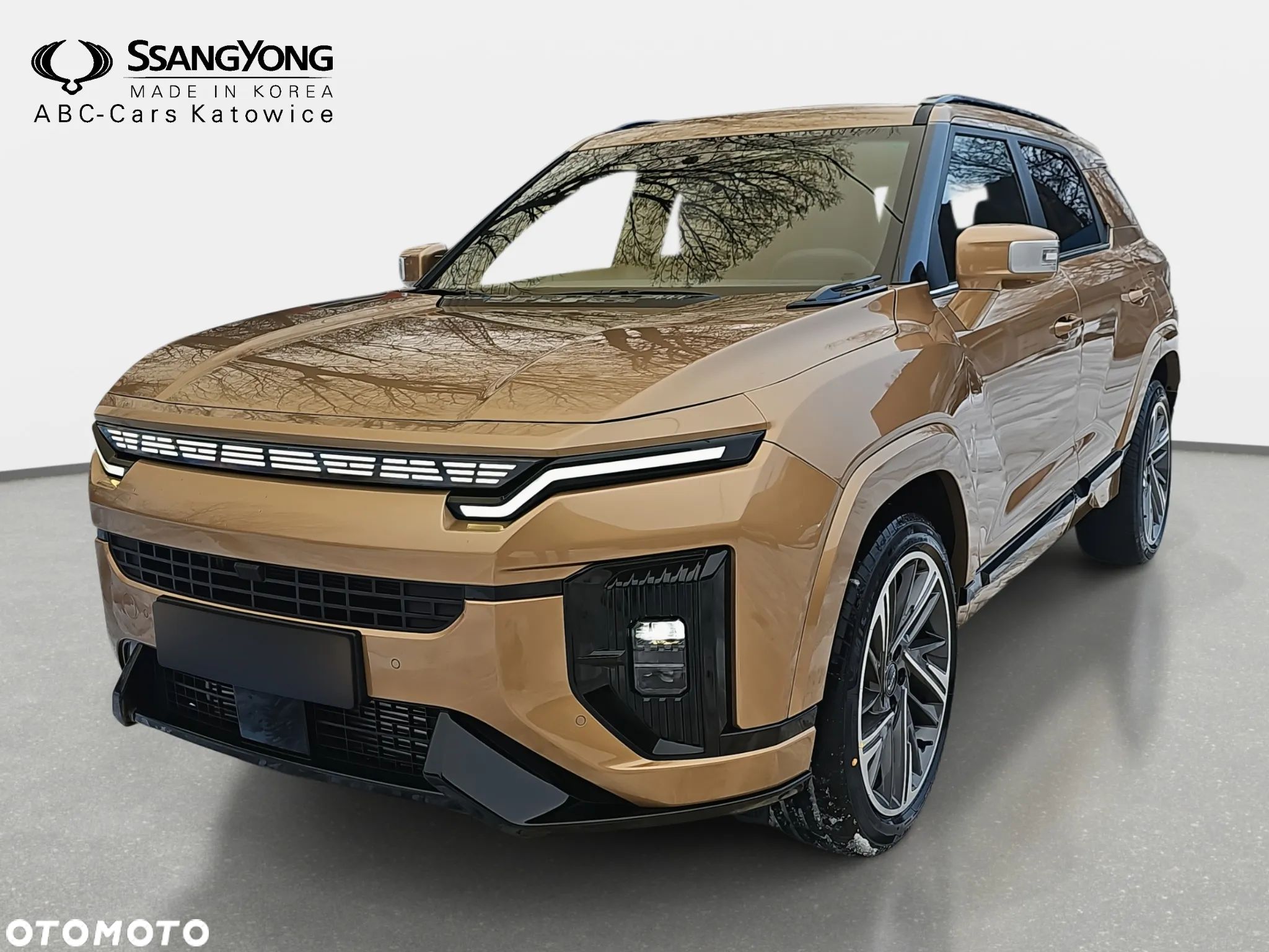 SsangYong/KGM Actyon - 1