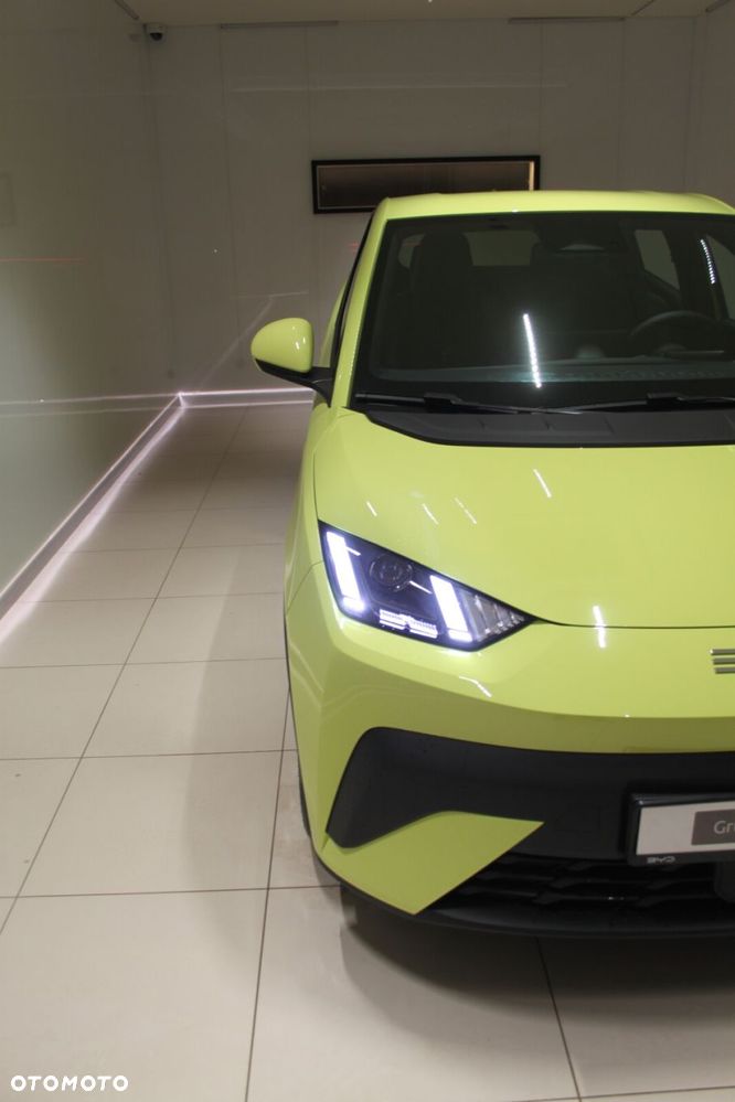 BYD Dolphin Surf - 16