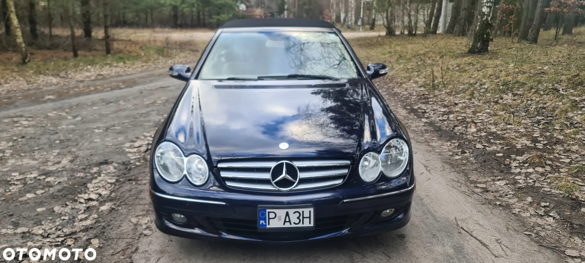 Mercedes-Benz CLK Cabrio 350 7G-TRONIC Avantgarde - 13