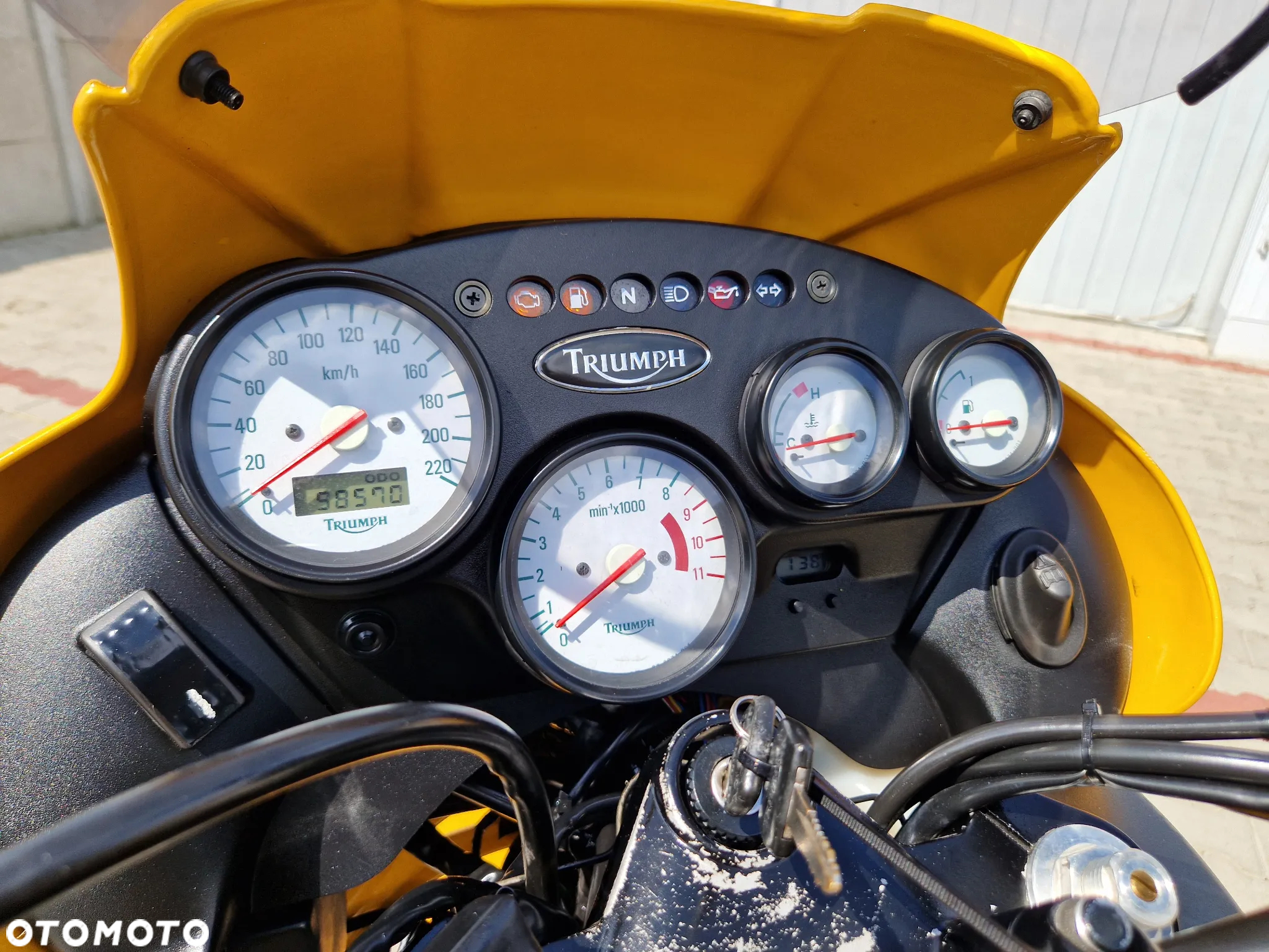 Triumph Tiger - 8