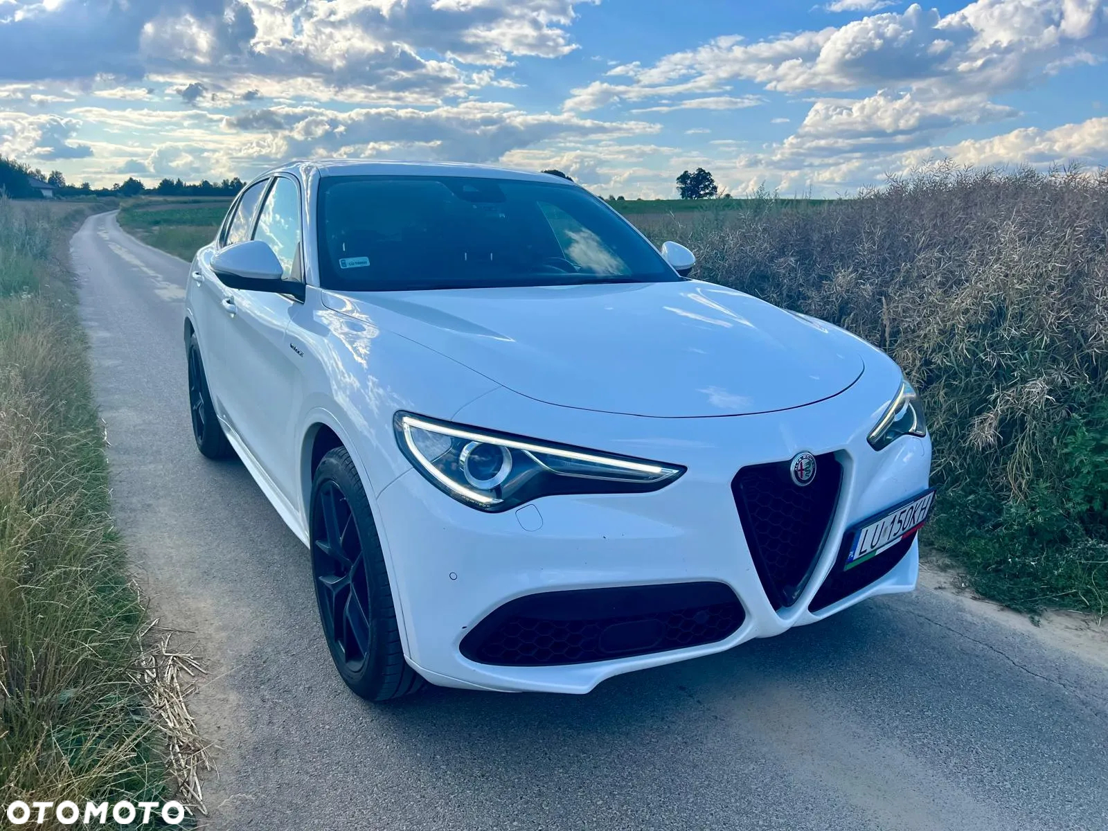 Alfa Romeo Stelvio 2.0 Turbo Veloce Q4 - 5