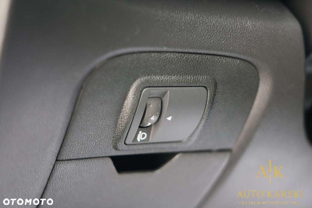 Renault Scenic - 21