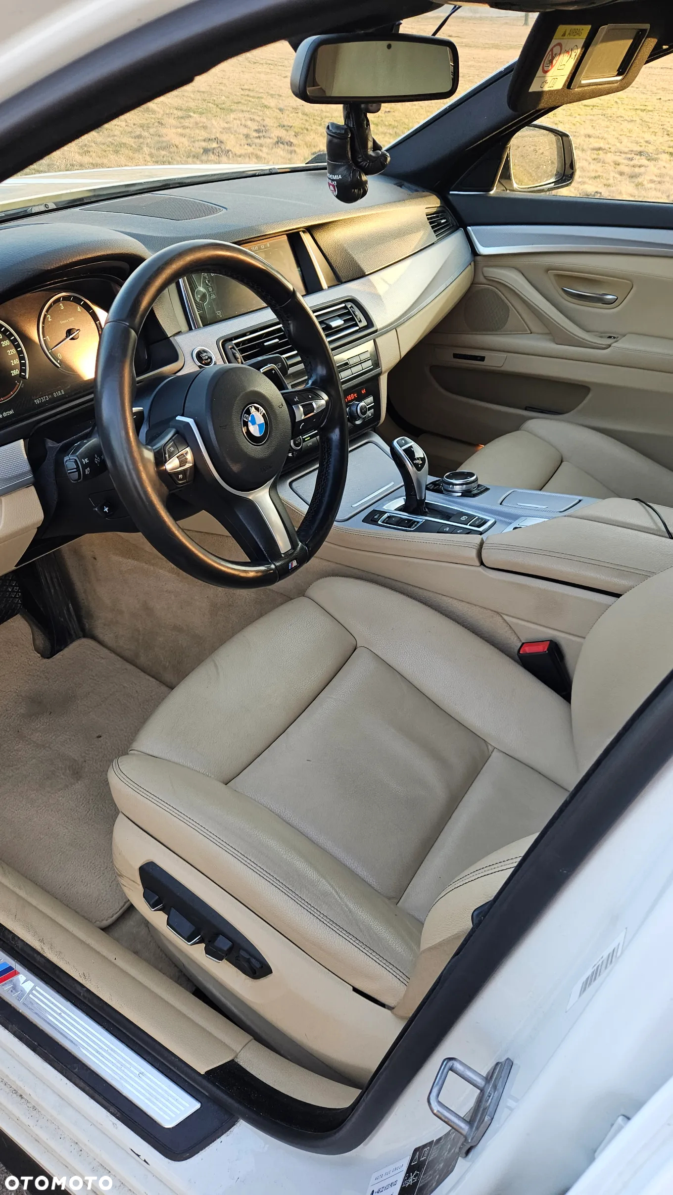BMW Seria 5 530d xDrive - 10