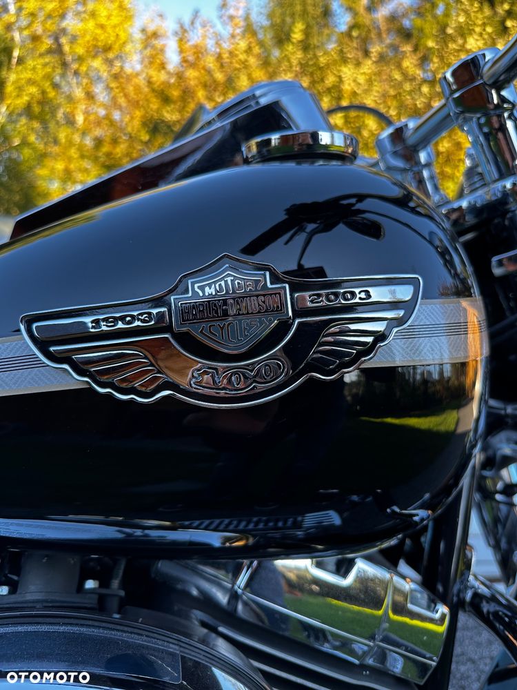 Harley-Davidson Softail Heritage Classic - 12