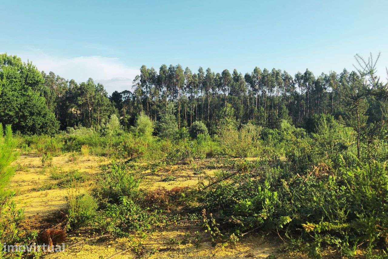 Terreno Rústico com viabilidade de construção | ERA Imobiliária - Grande imagem: 2/5