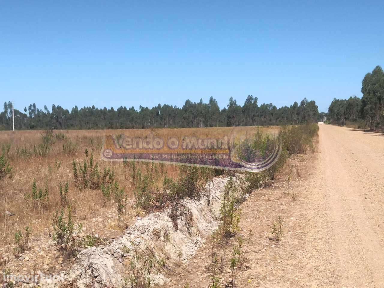 Terreno em Glória do Ribatejo (GLR040) - Grande imagem: 4/11