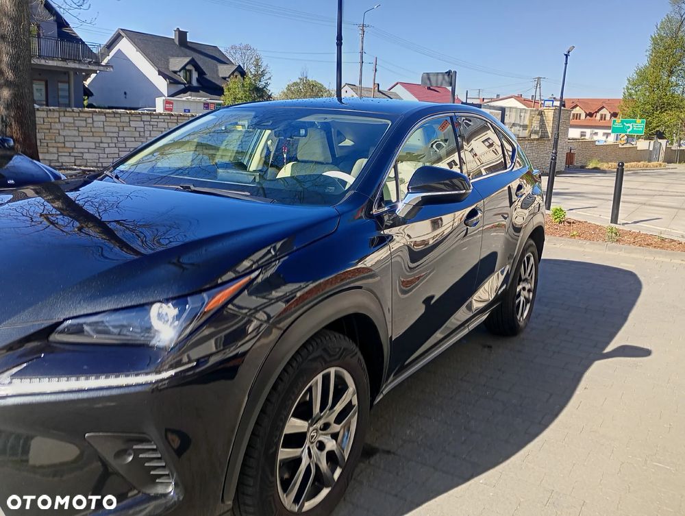 Lexus NX - 6